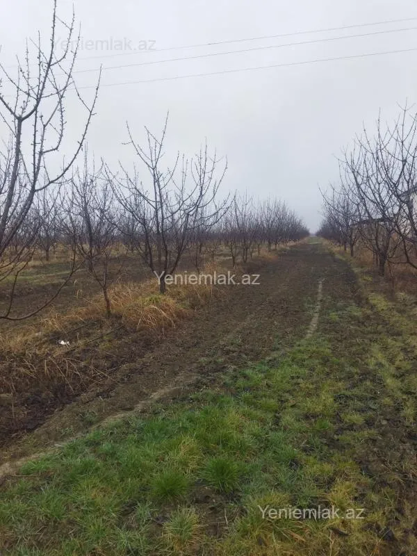 Satılır torpaq sahəsi