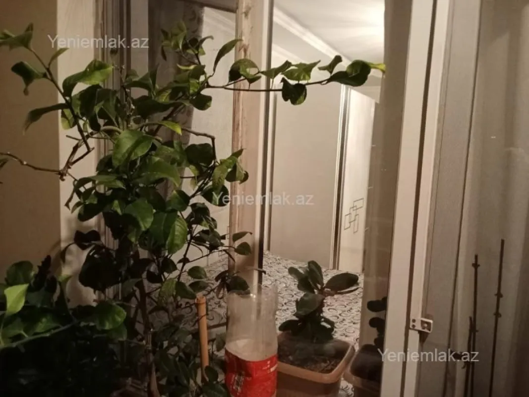 Satılır 3 otaqlı köhnə tikili 75 m²