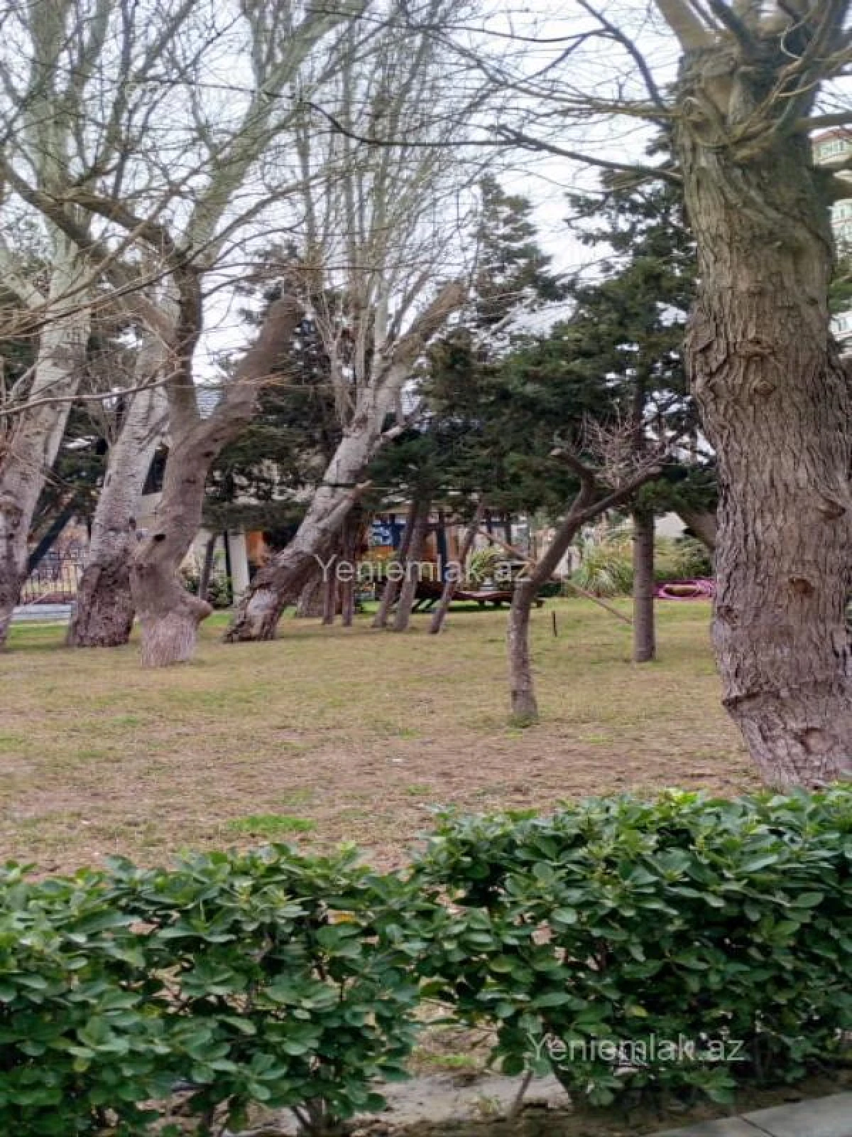 Satılır 1 otaqlı yeni tikili 62 m²