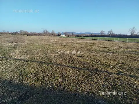 Satılır torpaq sahəsi — Qəbələ