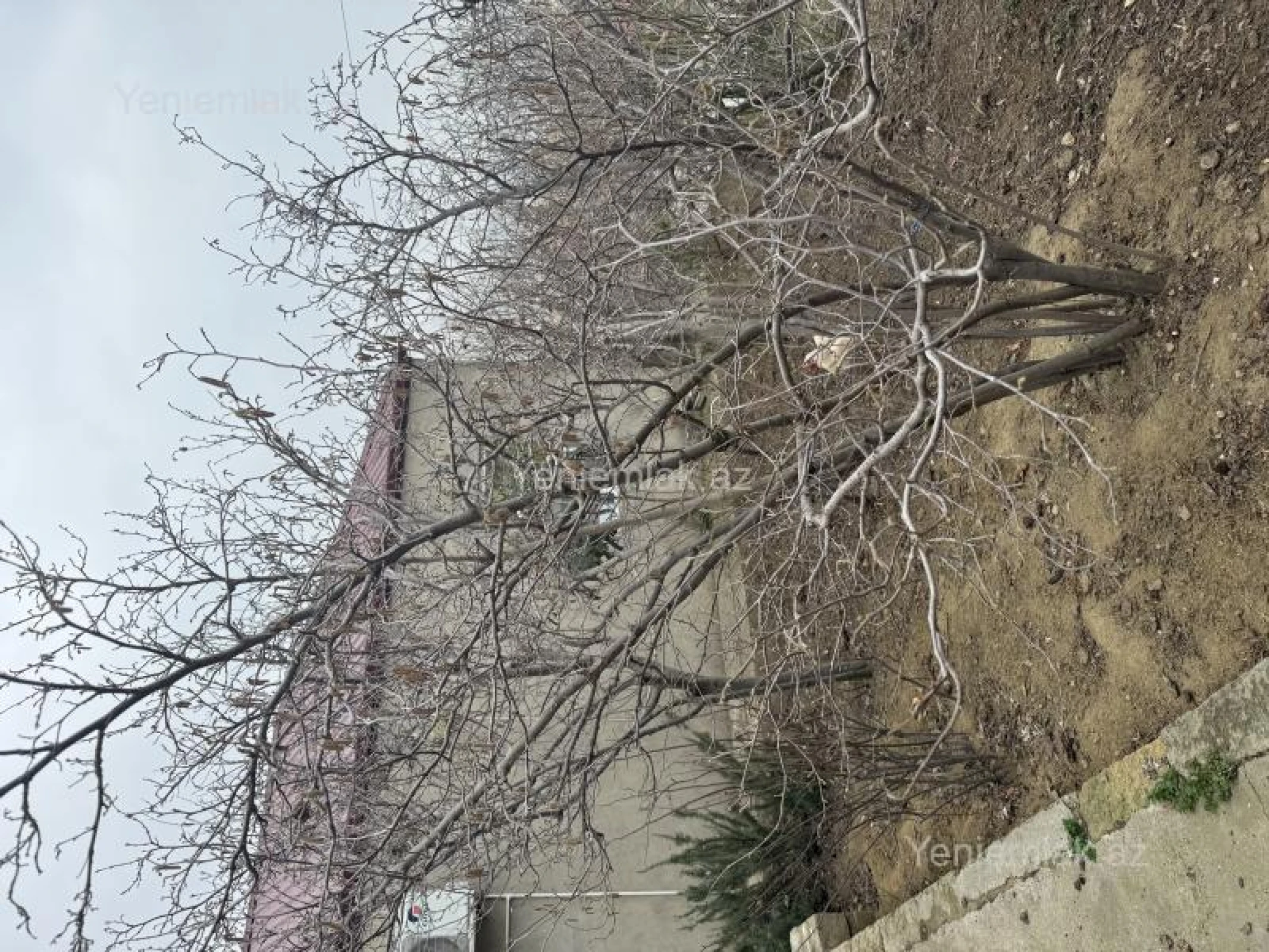 Satılır 2 otaqlı həyət evi 50 m²