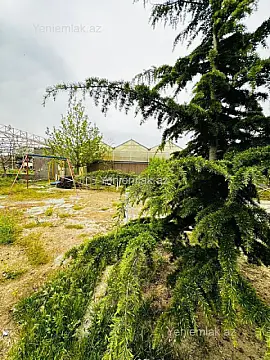 Satılır 7 otaqlı obyekt 1500 m²
