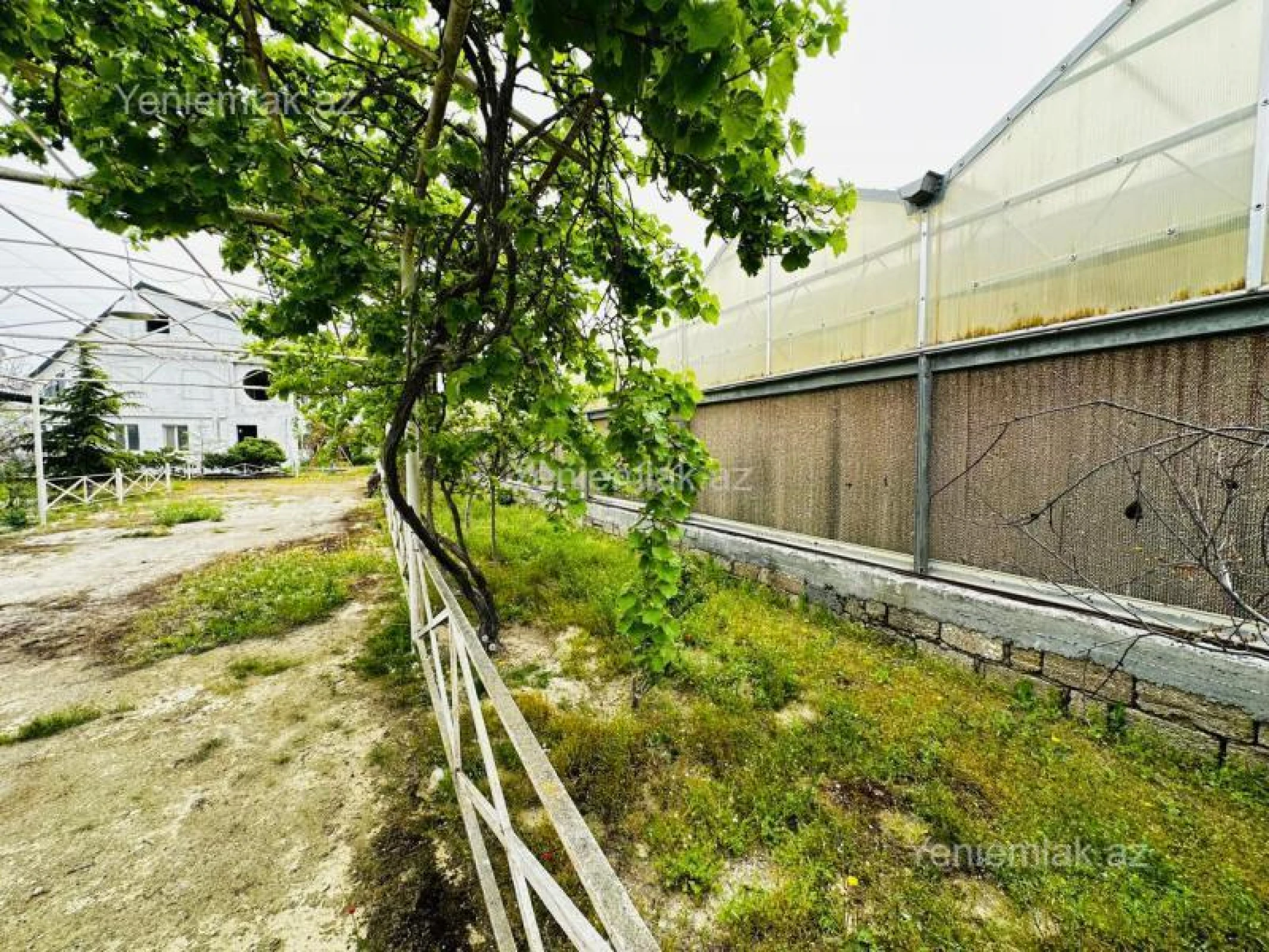 Satılır 7 otaqlı obyekt 1500 m²