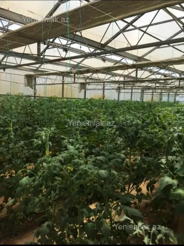 Satılır 7 otaqlı obyekt 1500 m²