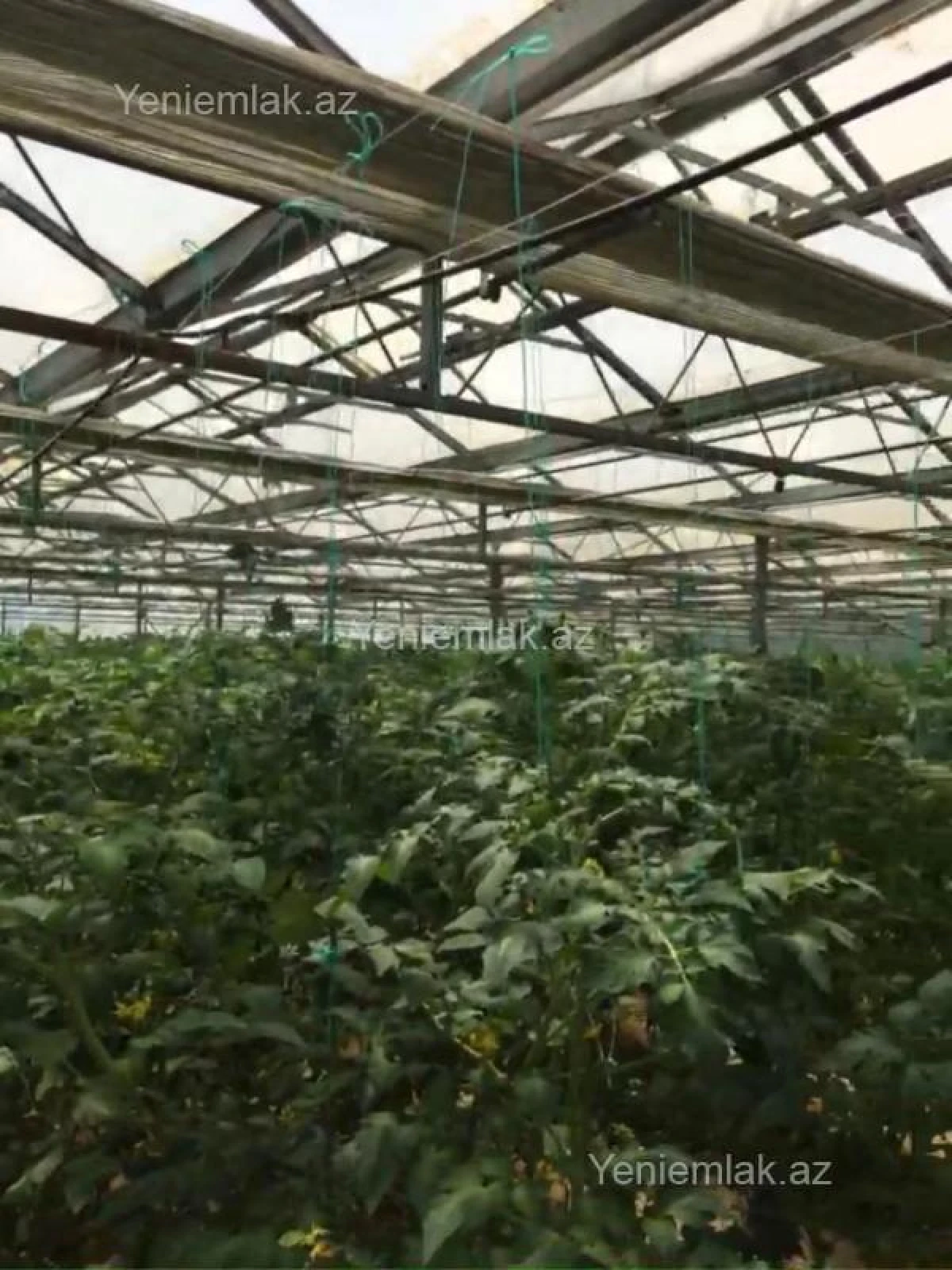 Satılır 7 otaqlı obyekt 1500 m²