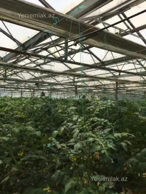 Satılır 7 otaqlı obyekt 1500 m²