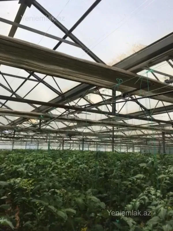 Satılır 7 otaqlı obyekt 1500 m²