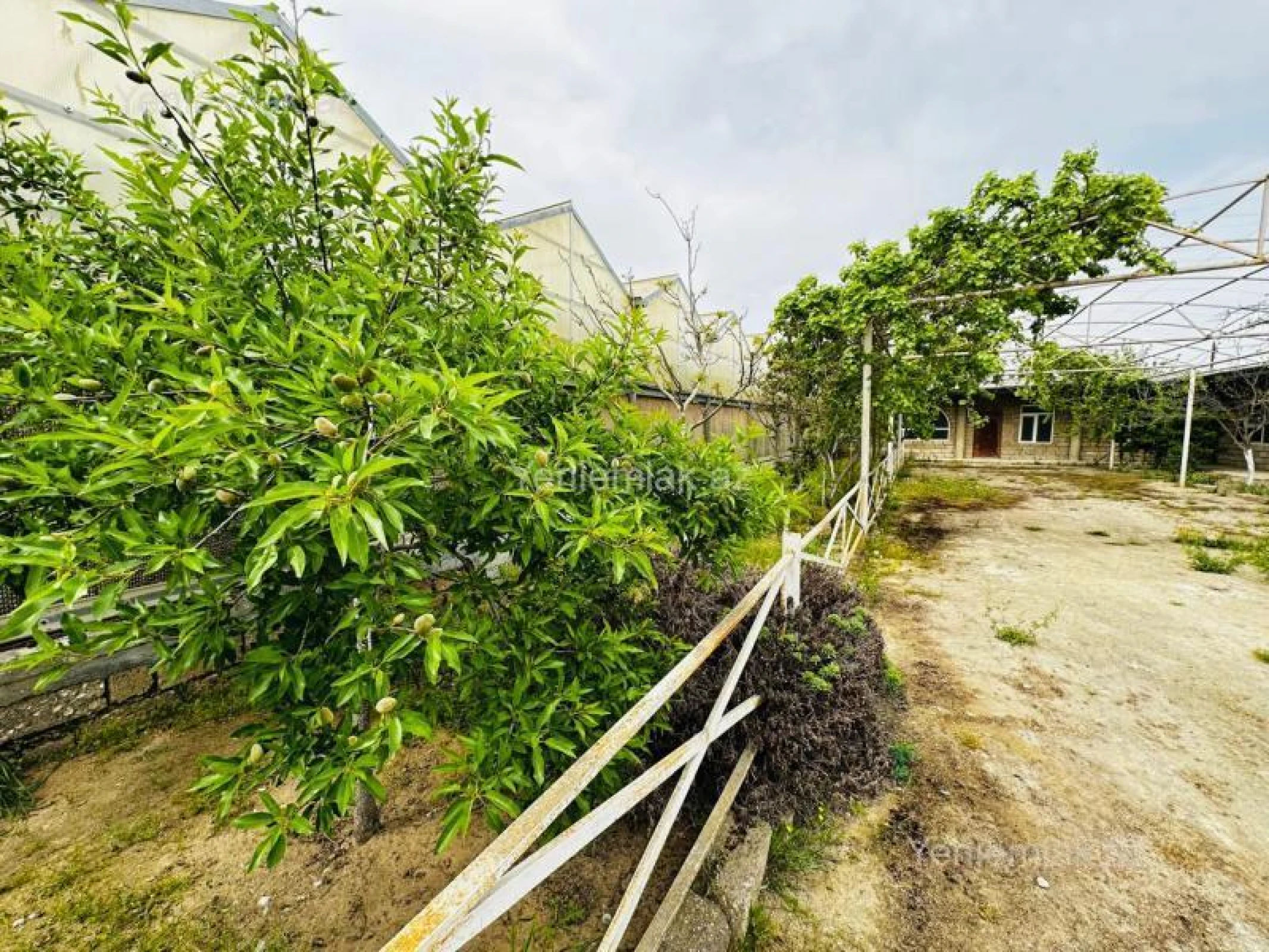 Satılır 7 otaqlı obyekt 1500 m²