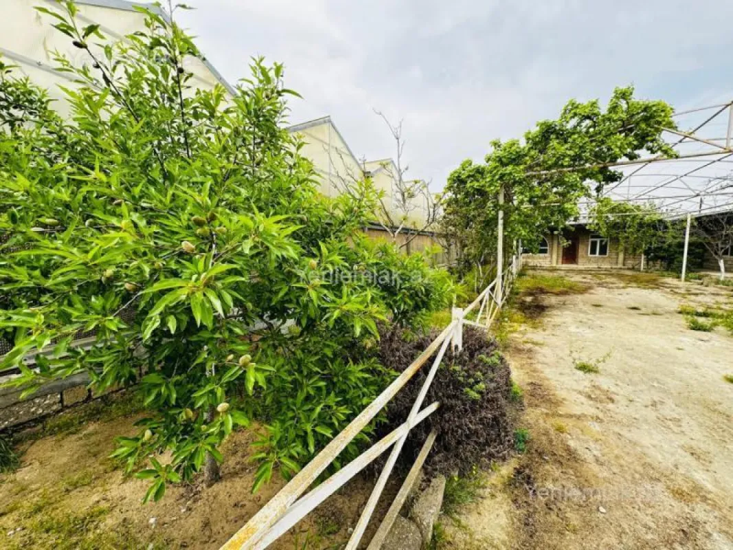 Satılır 7 otaqlı obyekt 1500 m²