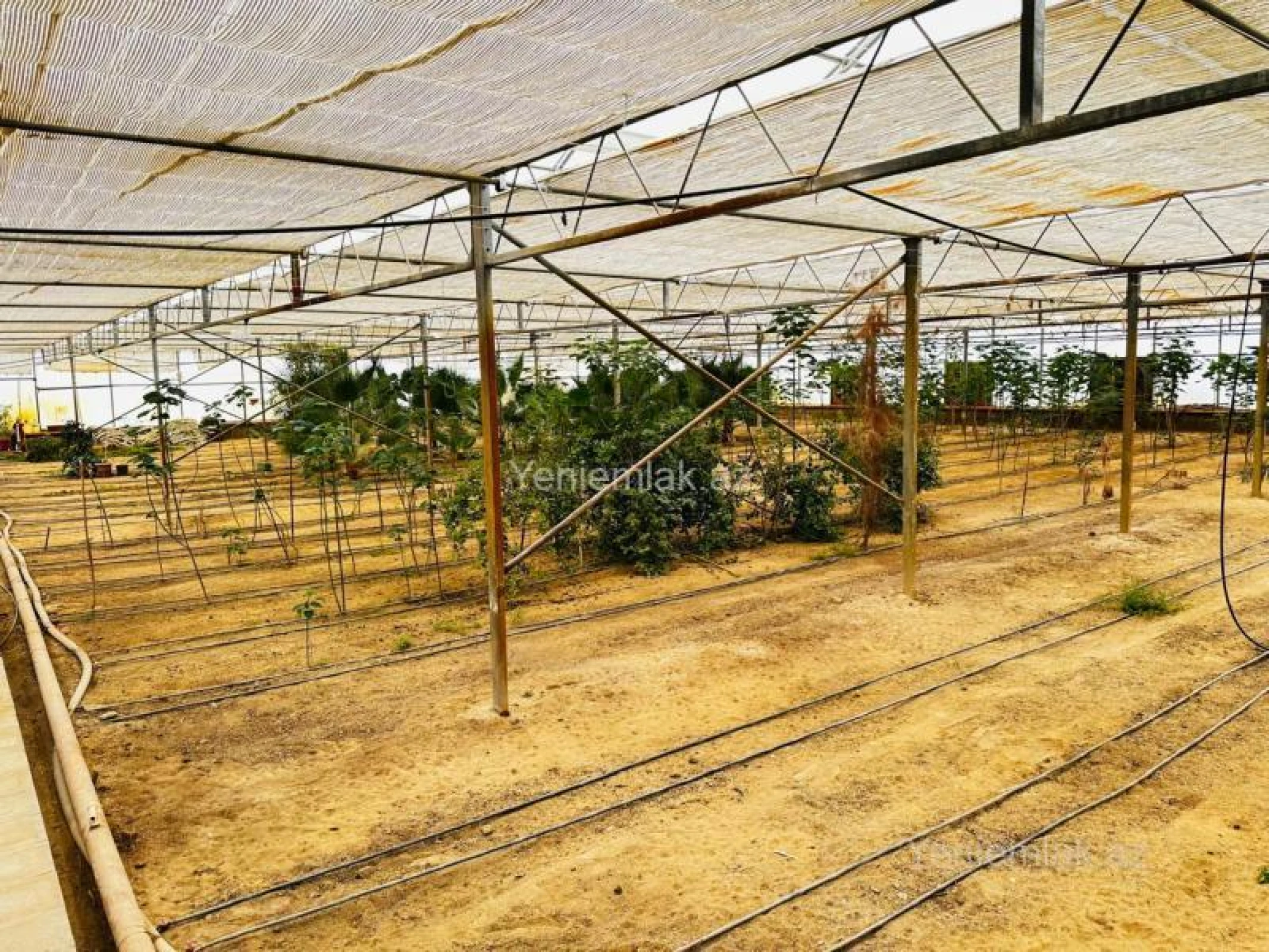 Satılır 7 otaqlı obyekt 1500 m²