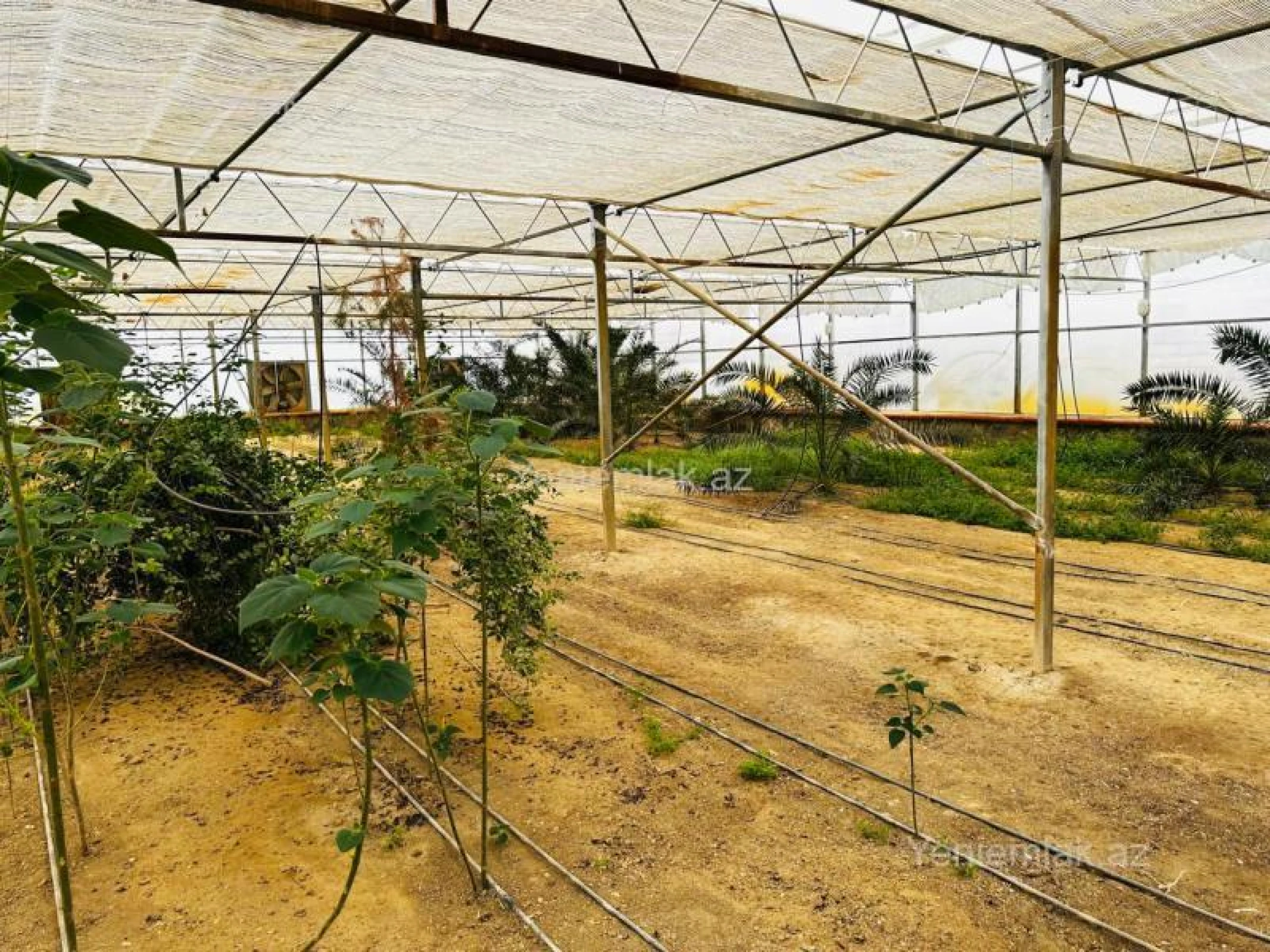 Satılır 7 otaqlı obyekt 1500 m²