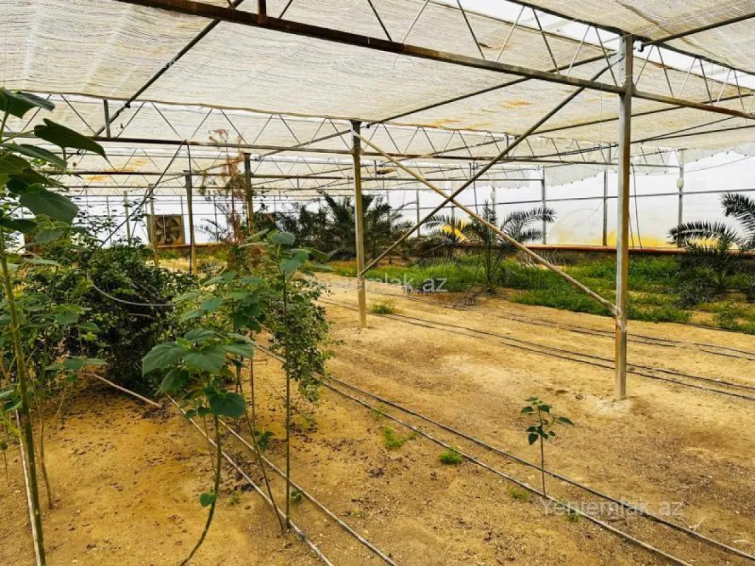 Satılır 7 otaqlı obyekt 1500 m²