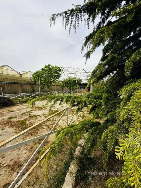 Satılır 7 otaqlı obyekt 1500 m²