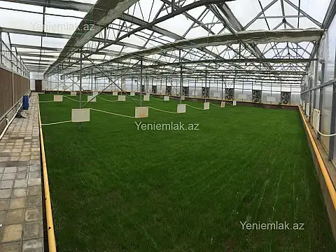 Satılır 7 otaqlı obyekt 1500 m² — Bakı, Xəzər 7 otaq 1500.00 m²