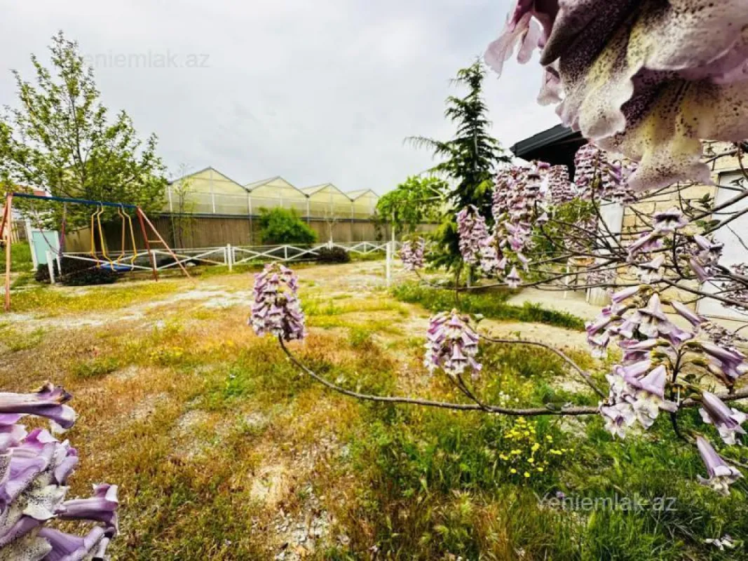 Satılır 7 otaqlı obyekt 1500 m²