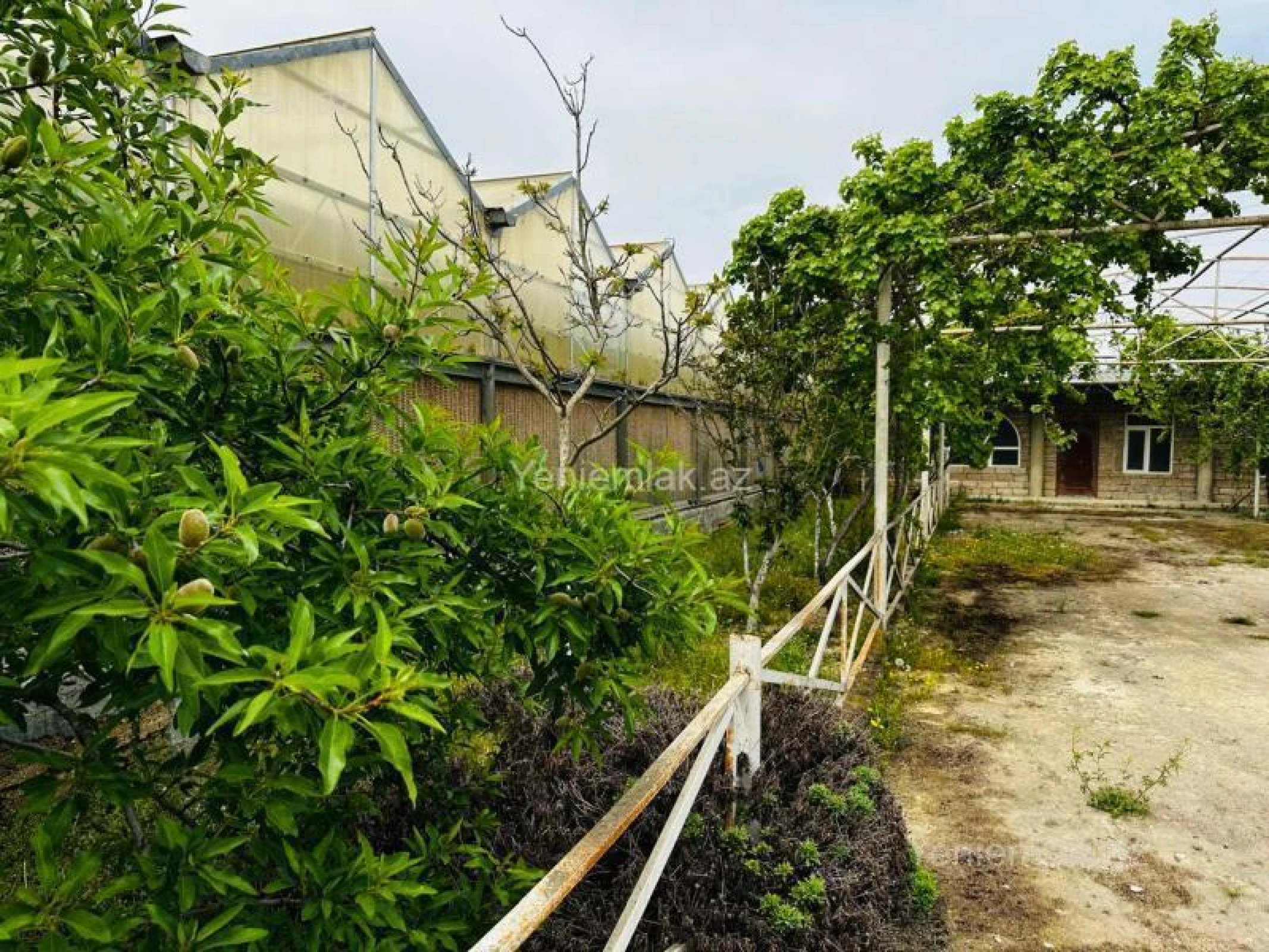 Satılır 7 otaqlı obyekt 1500 m²