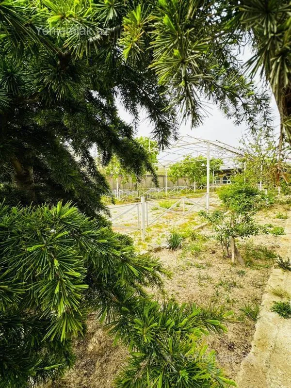 Satılır 7 otaqlı obyekt 1500 m²