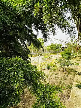 Satılır 7 otaqlı obyekt 1500 m²