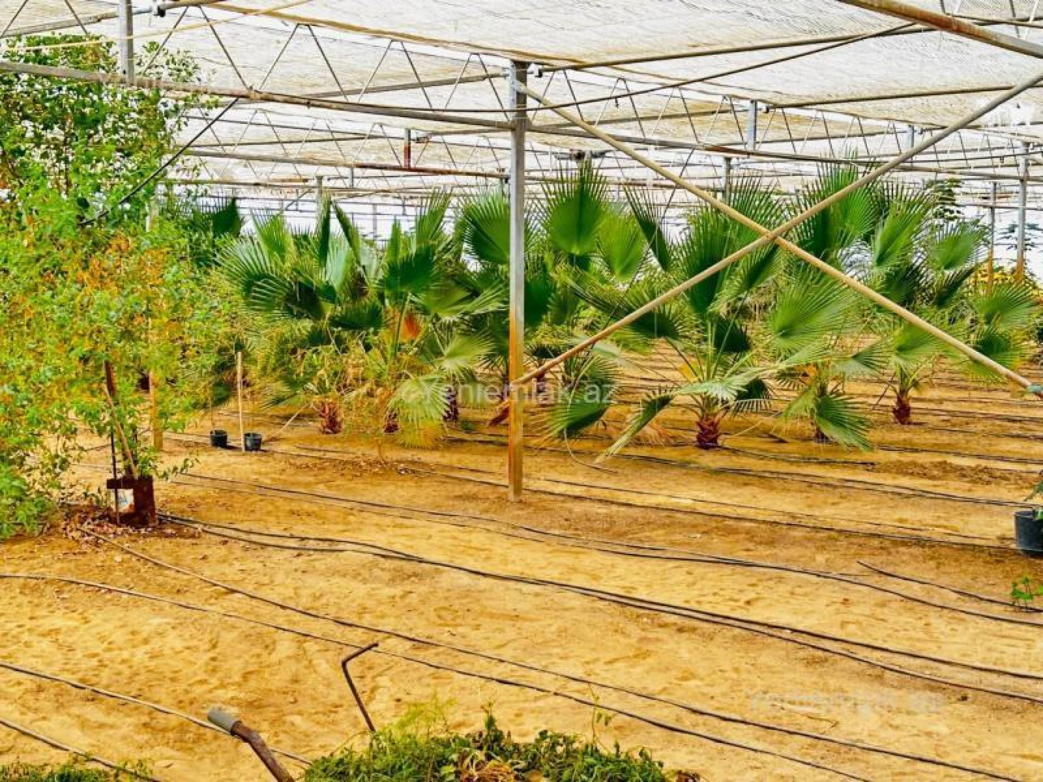 Satılır 7 otaqlı obyekt 1500 m²