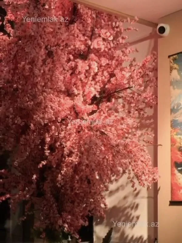 Satılır 1 otaqlı obyekt 169 m²