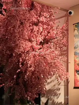 Satılır 1 otaqlı obyekt 169 m²