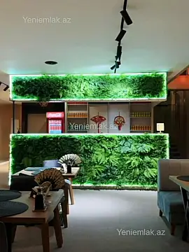 Satılır 1 otaqlı obyekt 169 m²