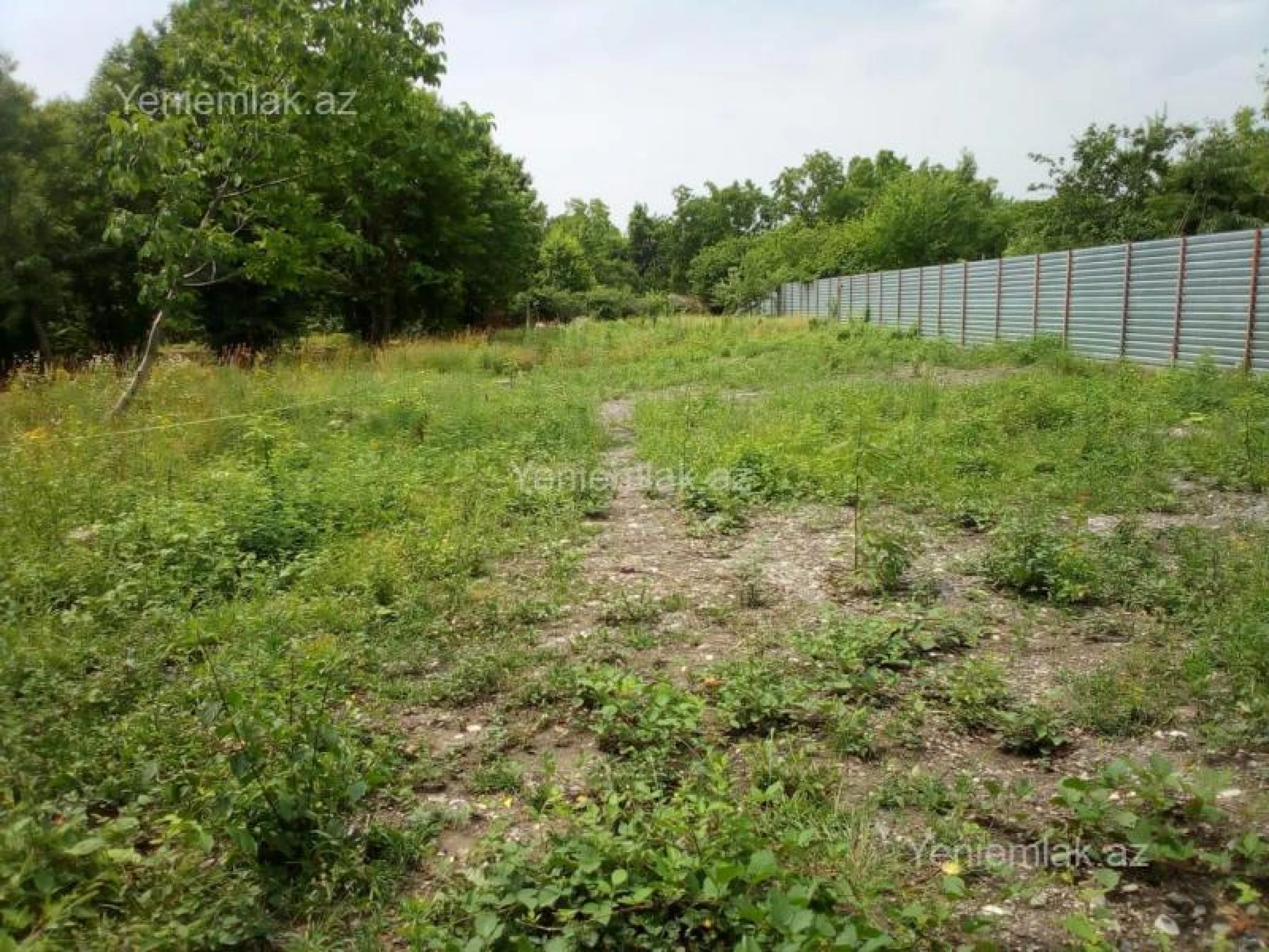 Satılır torpaq sahəsi