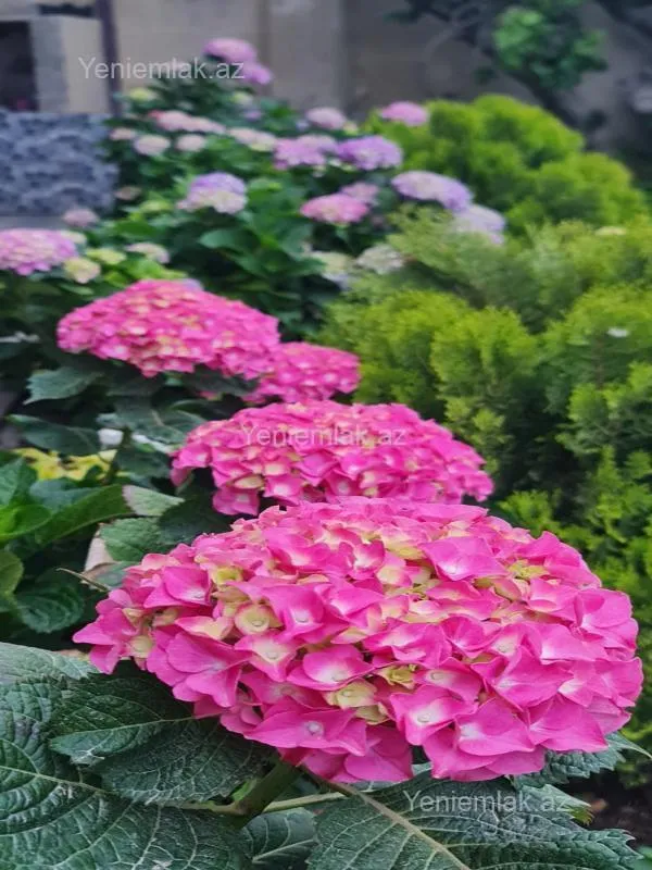 Satılır 6 otaqlı həyət evi 250 m²