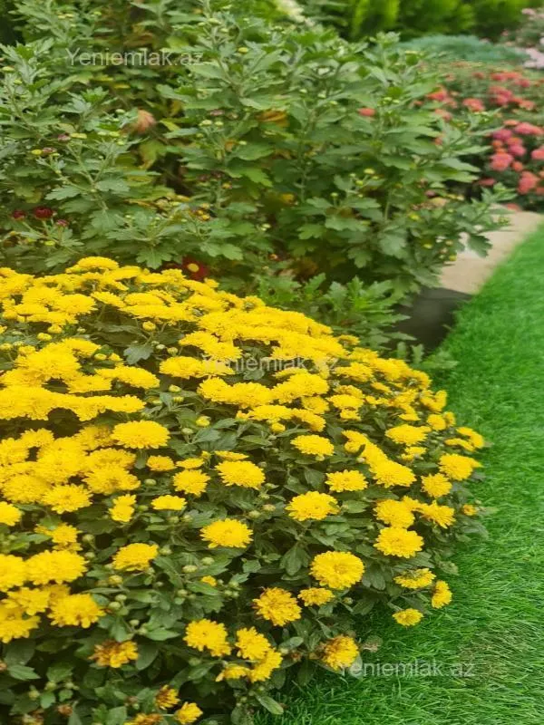 Satılır 6 otaqlı həyət evi 250 m²