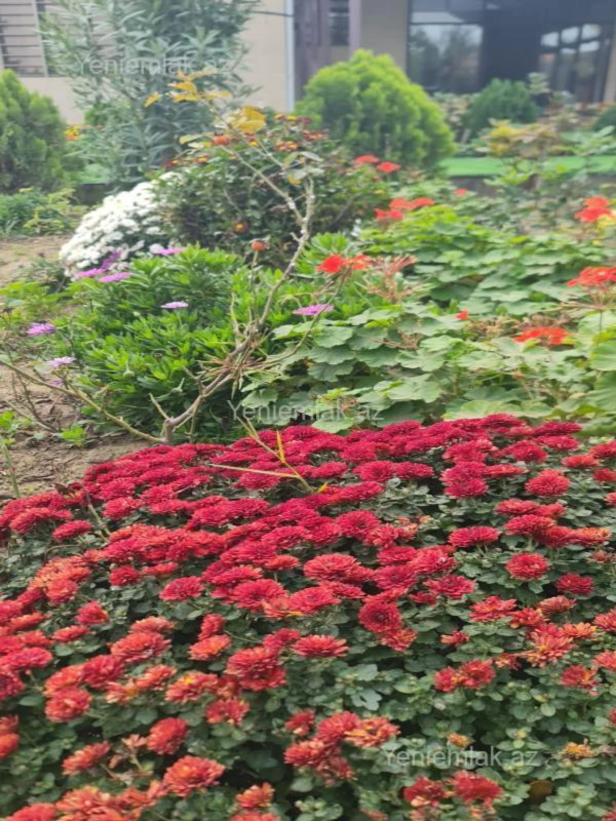 Satılır 6 otaqlı həyət evi 250 m²