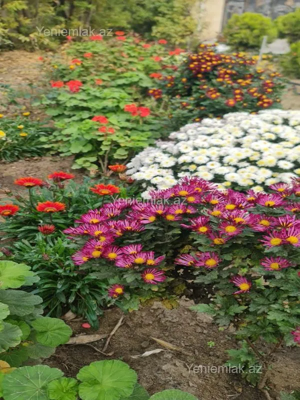 Satılır 6 otaqlı həyət evi 250 m²