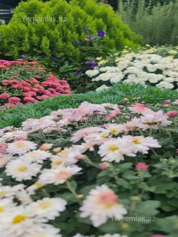 Satılır 6 otaqlı həyət evi 250 m²