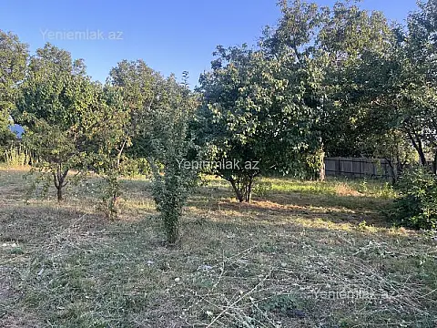 Satılır torpaq sahəsi — İsmayıllı
