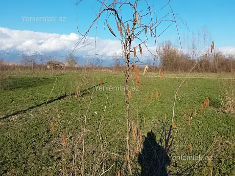 Satılır torpaq sahəsi — Oğuz