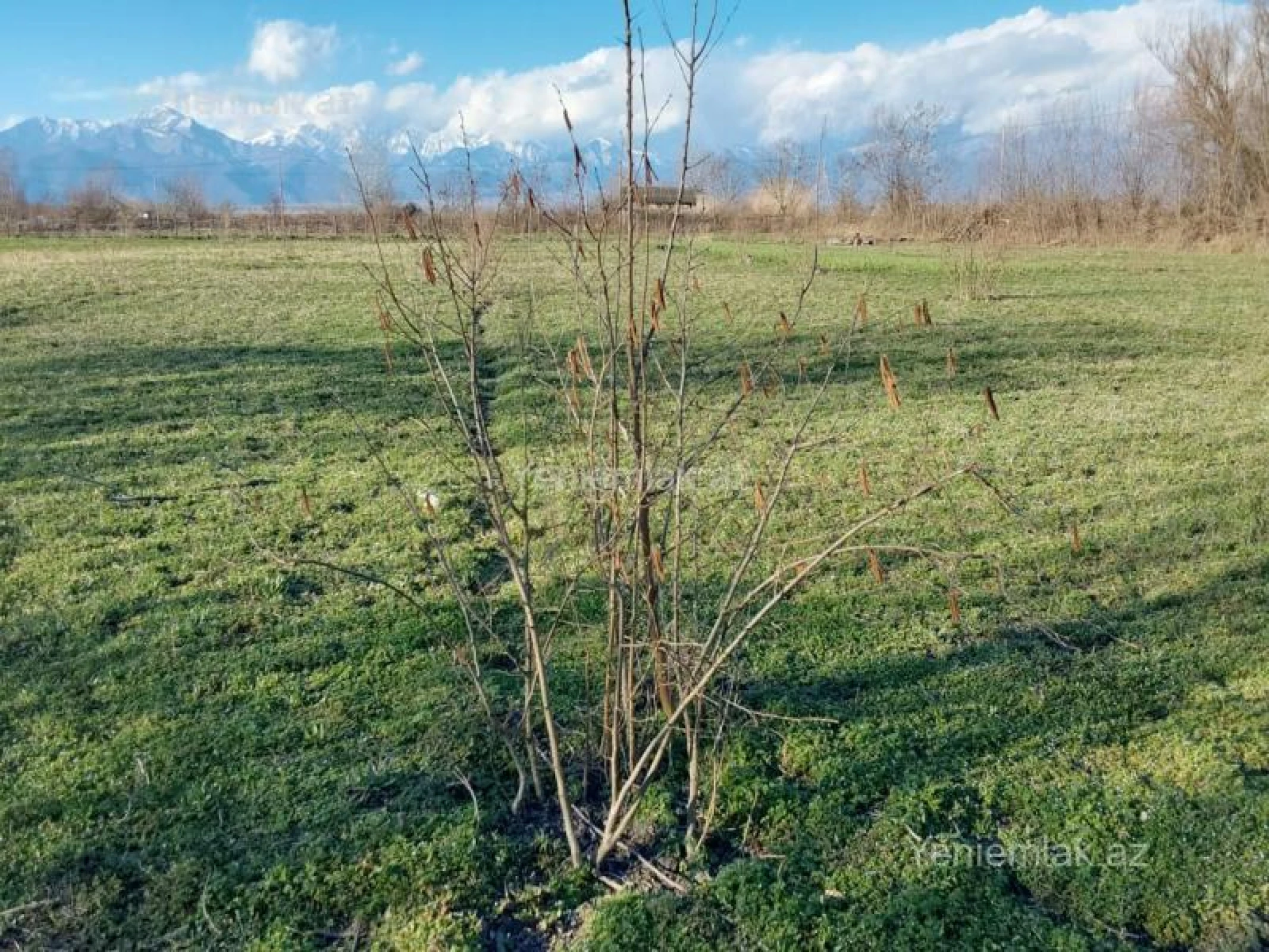 Satılır torpaq sahəsi