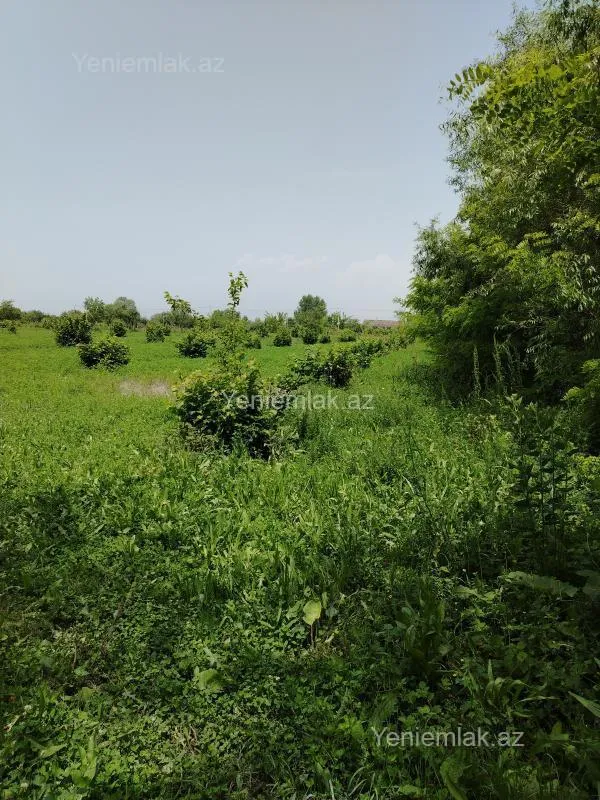 Satılır torpaq sahəsi