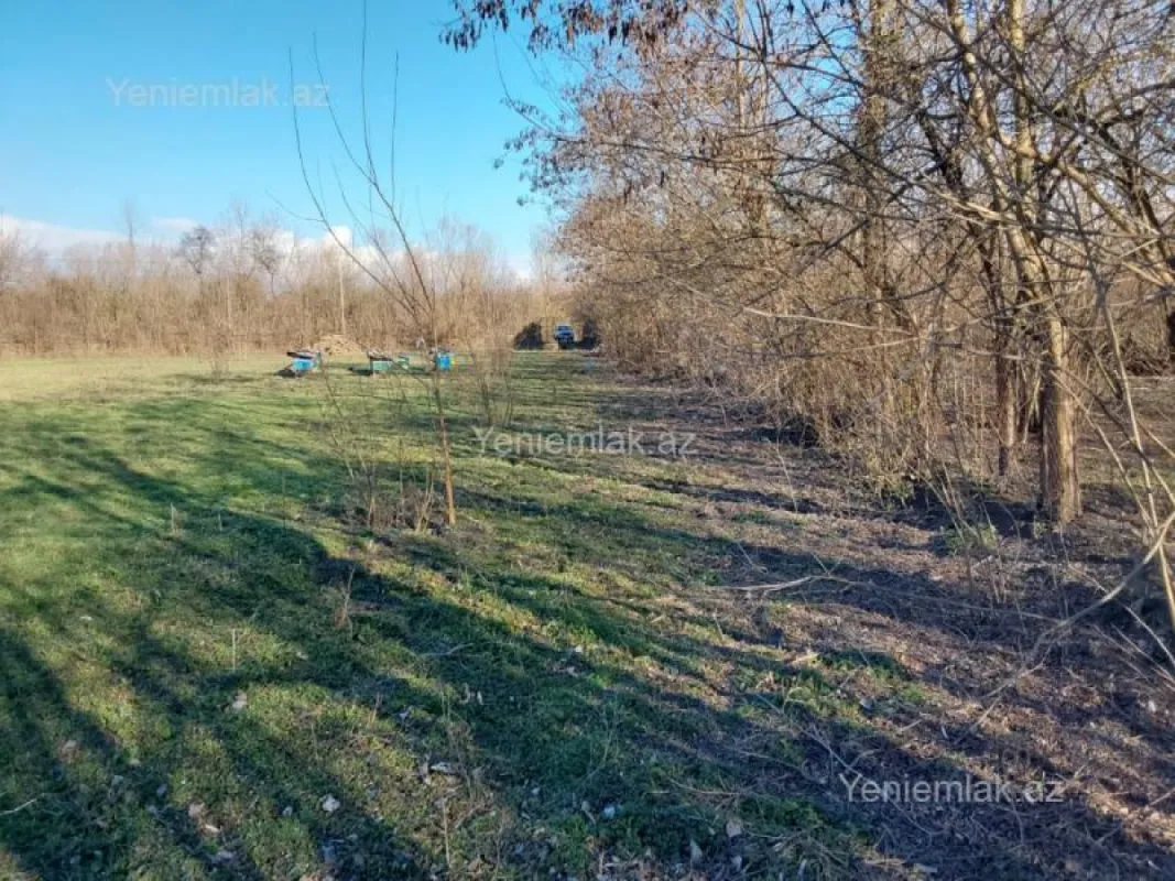 Satılır torpaq sahəsi