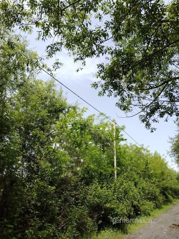 Satılır torpaq sahəsi