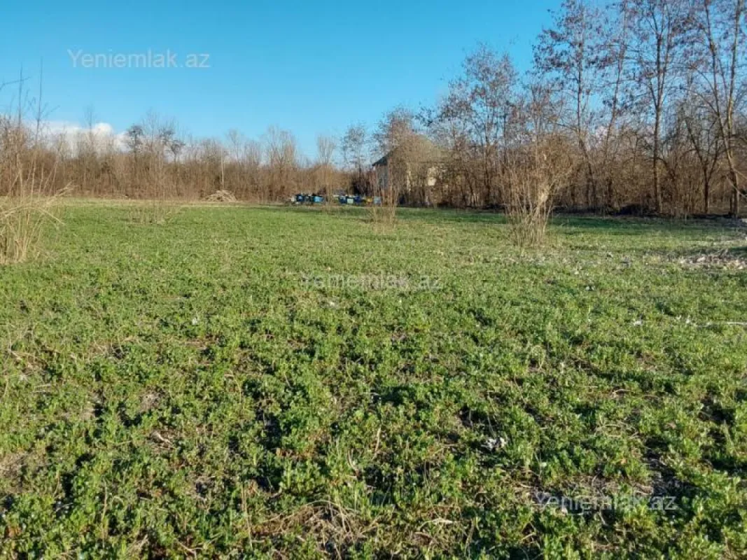 Satılır torpaq sahəsi