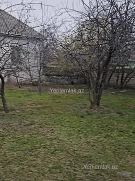 Satılır torpaq sahəsi — Qəbələ