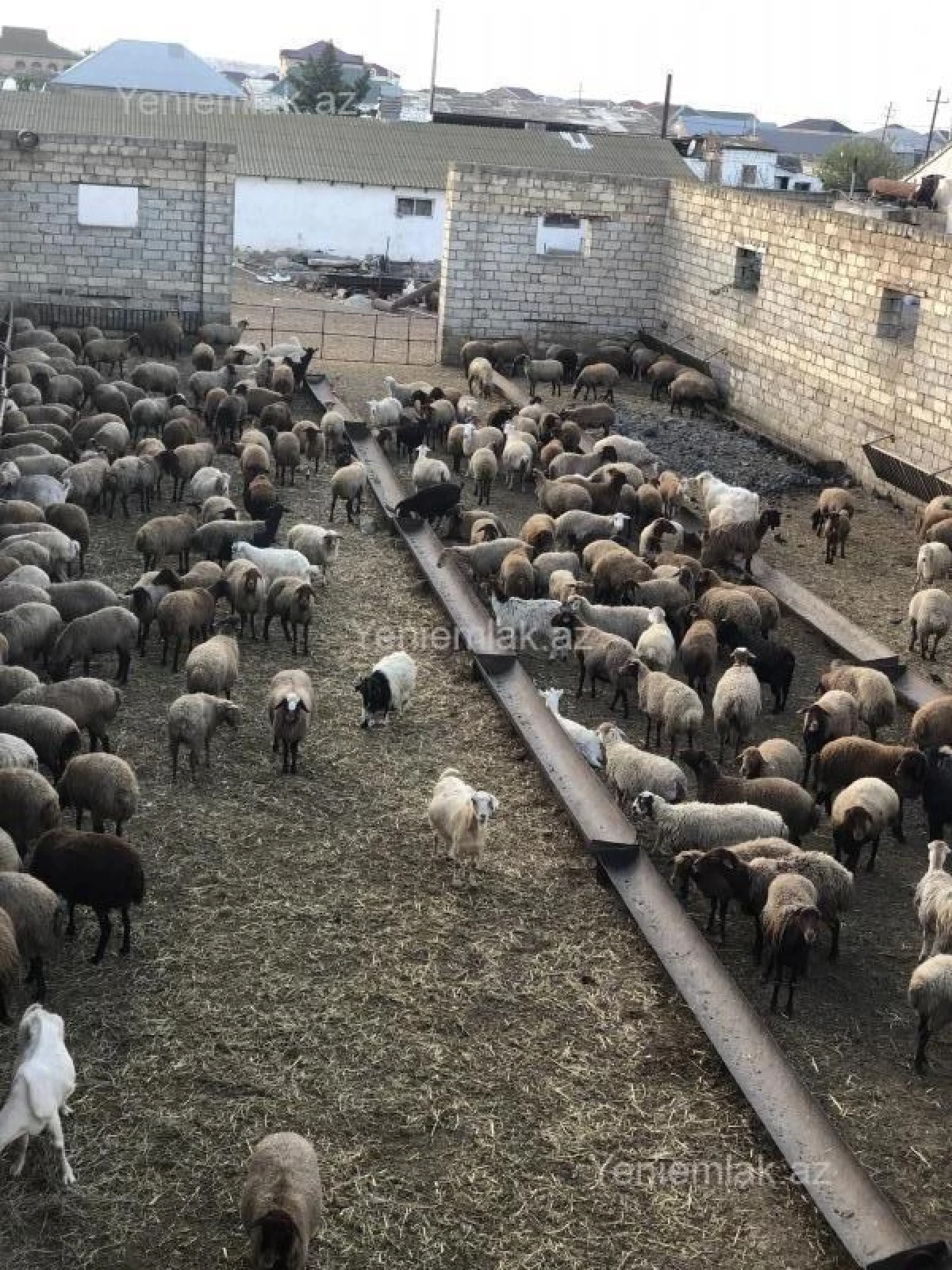 Satılır 2 otaqlı obyekt 700 m²