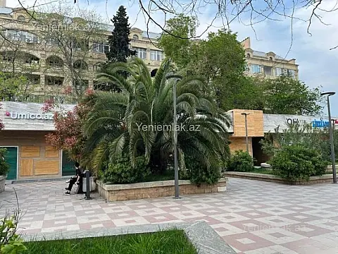 Satılır 2 otaqlı köhnə tikili 55 m²