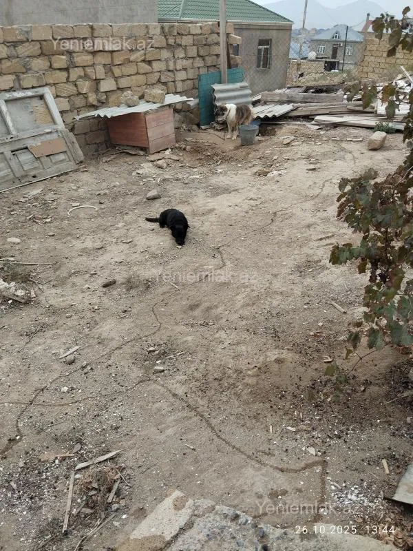 Satılır 5 otaqlı həyət evi 100 m²