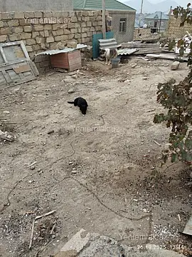 Satılır 5 otaqlı həyət evi 100 m²