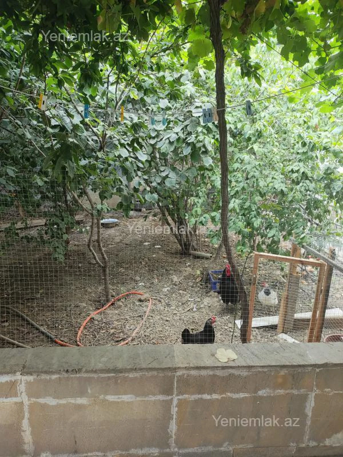 Satılır 7 otaqlı həyət evi 204 m²