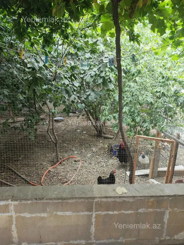 Satılır 7 otaqlı həyət evi 204 m²