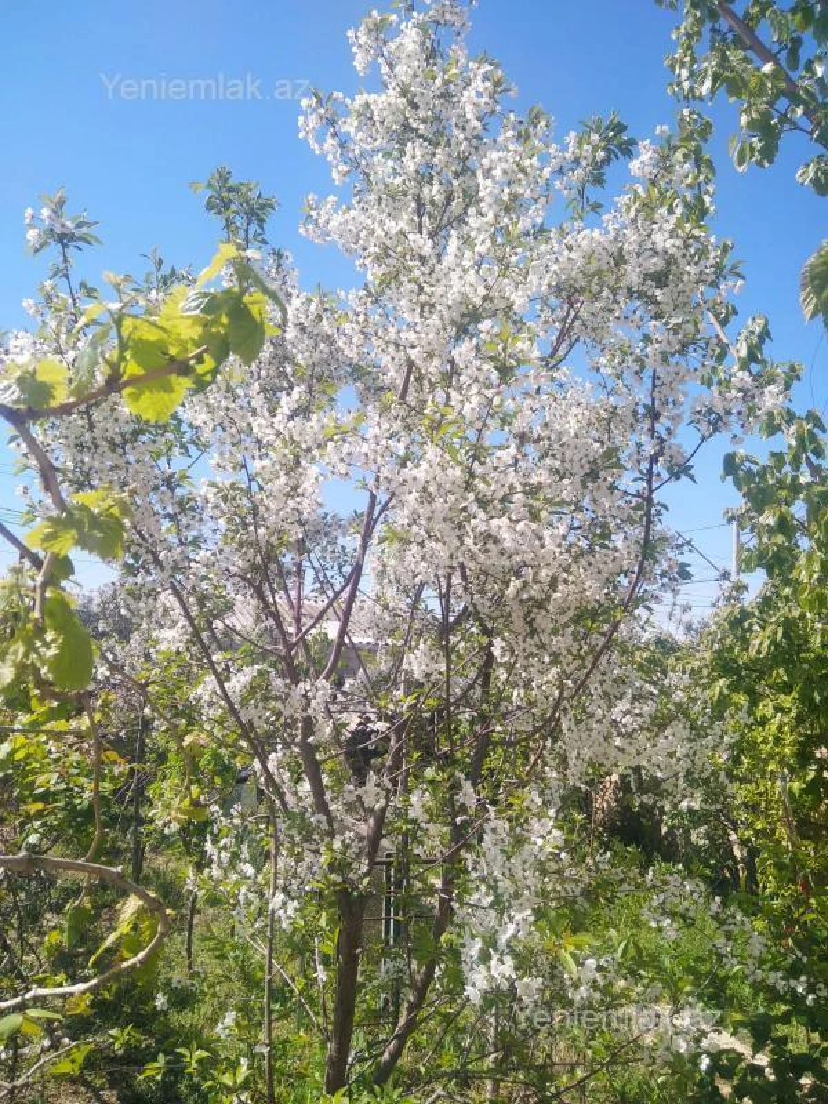 Satılır 6 otaqlı həyət evi 200 m²