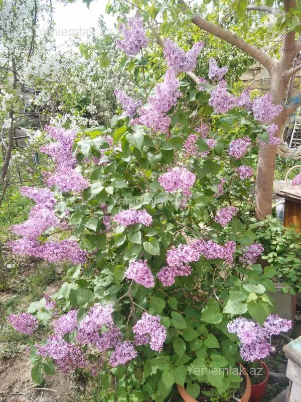 Satılır 6 otaqlı həyət evi 200 m²