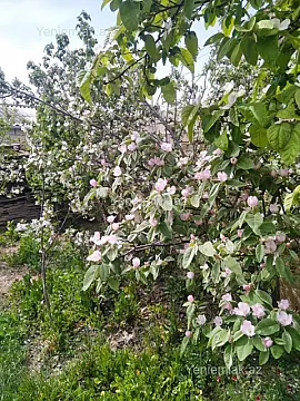 Satılır 6 otaqlı həyət evi 200 m²