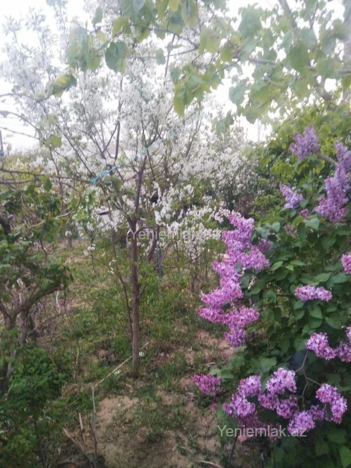 Satılır 6 otaqlı həyət evi 200 m²